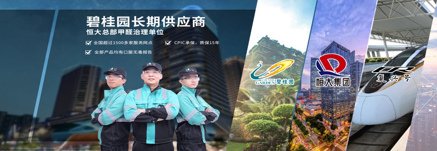 武汉江汉区叶子环保除甲醛公司