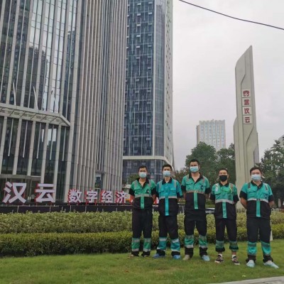 新装修的房子气味很大，是甲醛超标了