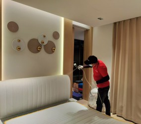 以下较常见除甲醛方法，看看哪些方法更有效？