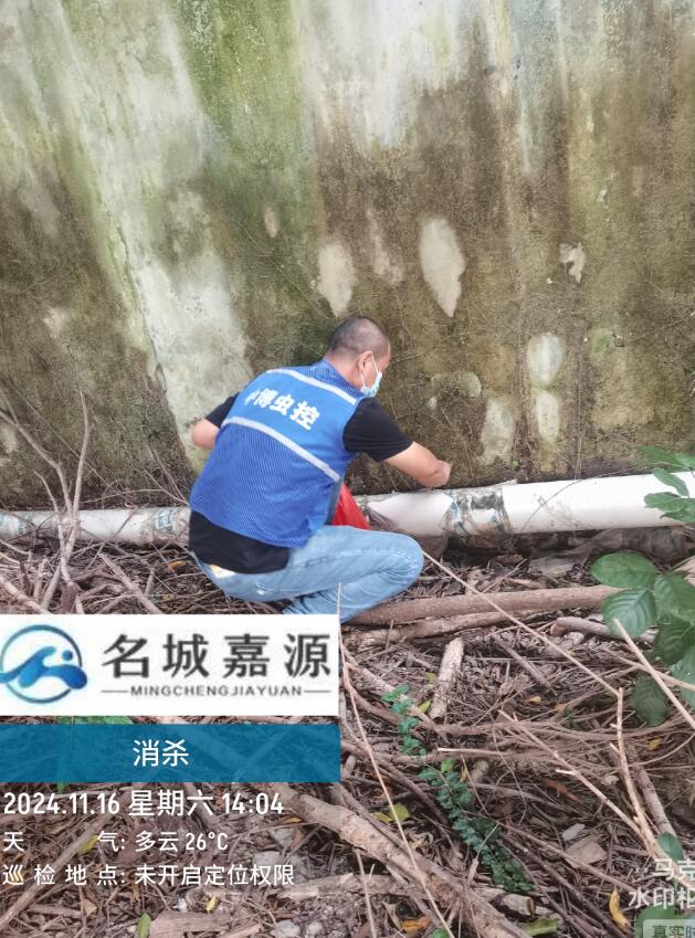 害虫防治对象