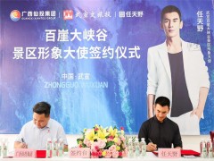 明星代言广告的策划流程通常包括哪些
