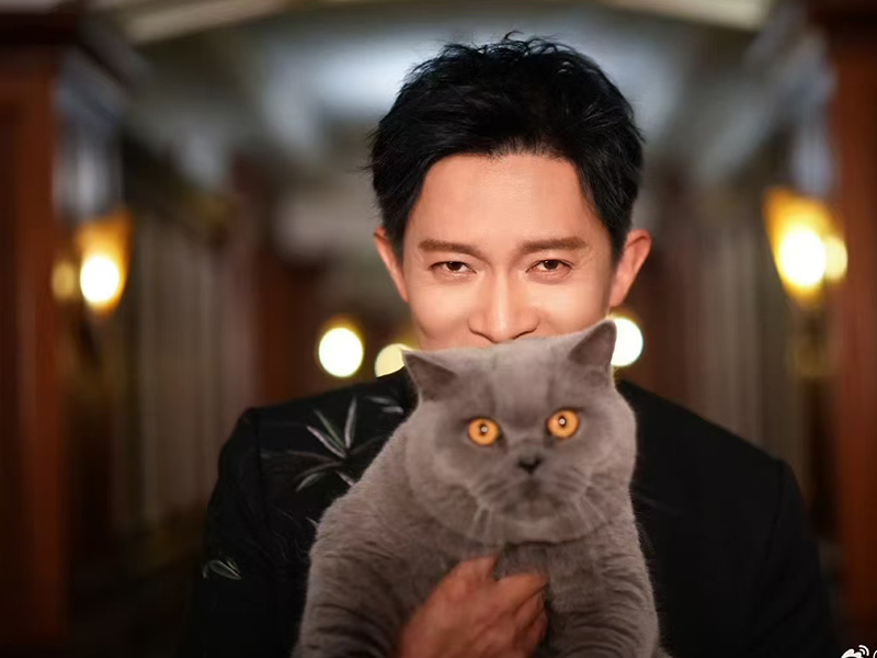 明星电视广告代言要怎么合作