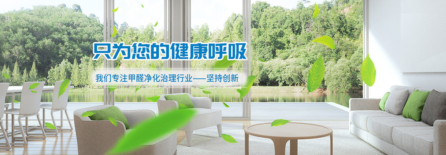保定除甲醛心呼吸环保公司