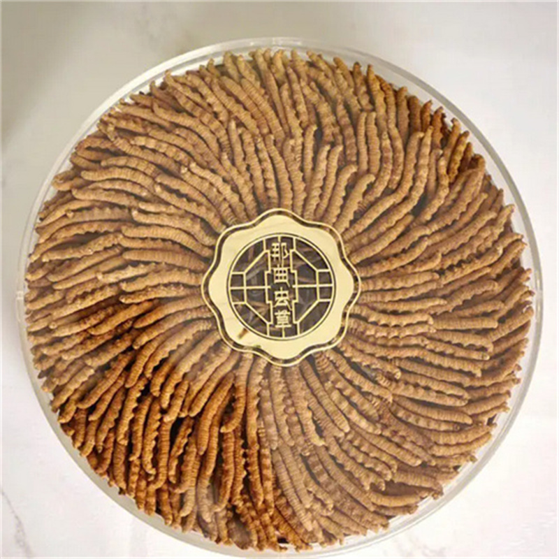 探究冬虫夏草，气味浓烈真的代表质量上乘吗-- 华阳天府烟酒回收店