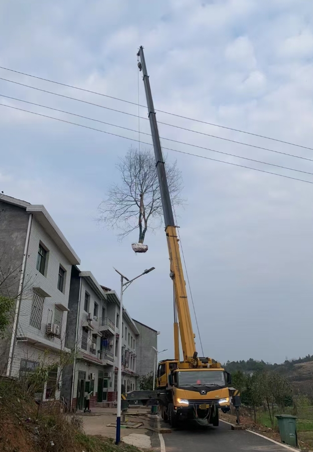 吊车的交付时间是如何确定的，能否按时到达指定地点？-- 驻马店荣成吊装起重搬运服务中心