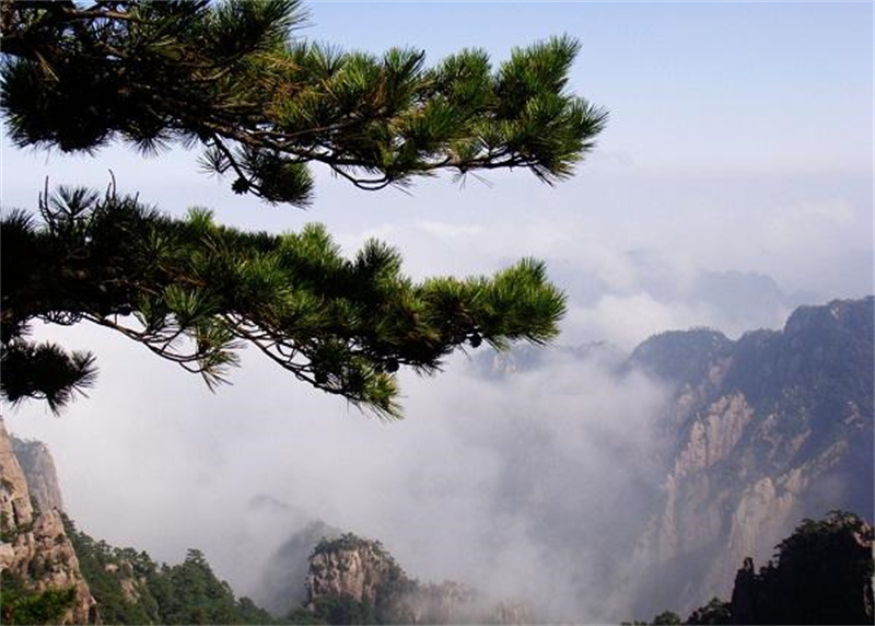 九华山接送服务，便捷出行，尽享山水之旅