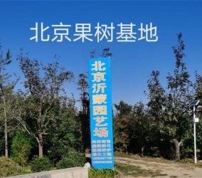 北京果树基地