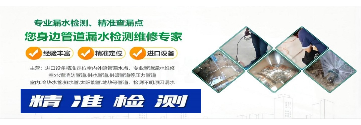 永泰县鑫诚漏水检测中心      