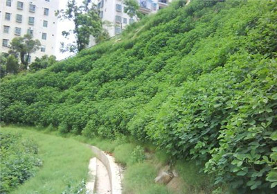 深圳水土保持方案哪些项目要做水保方案？-- 深圳市源远水利设计有限公司