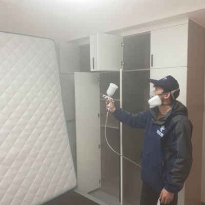 市场上80%的床垫甲醛超标，很多全棕