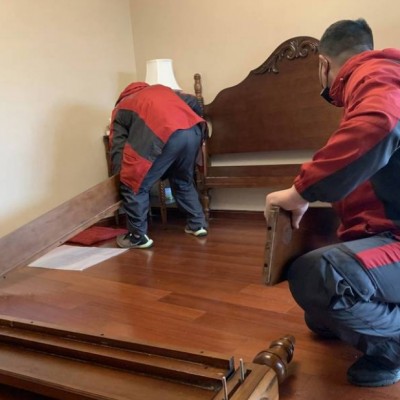 宠物和搬家如何兼顾？兽医建议的应激