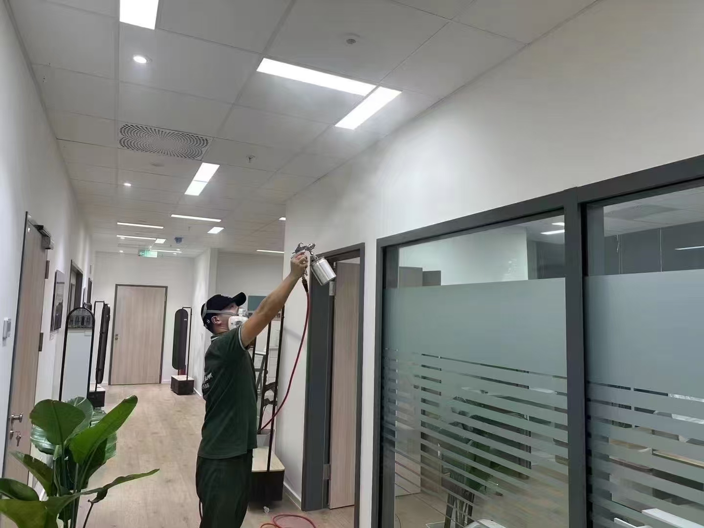 如何区分木头味和甲醛？去除甲醛的方法有哪些？-- 濮阳希望树环保除甲醛公司