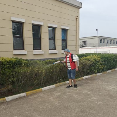 襄阳灭白蚁公司怎样有效预防白蚁