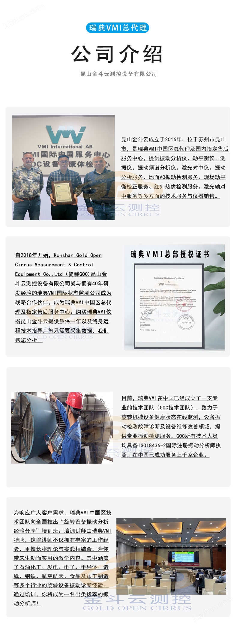 瑞典VMI轴心轨迹检测振动分析仪