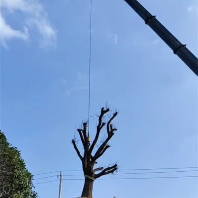 忻州山区地形复杂，吊车租赁能应对各类作业吗？​