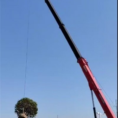 忻州丘陵沟壑区施工，吊车租赁价格会不会更高？​