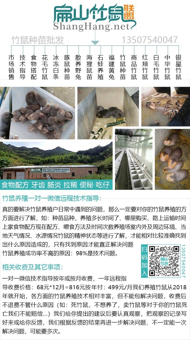 福建扁山竹鼠公司简介