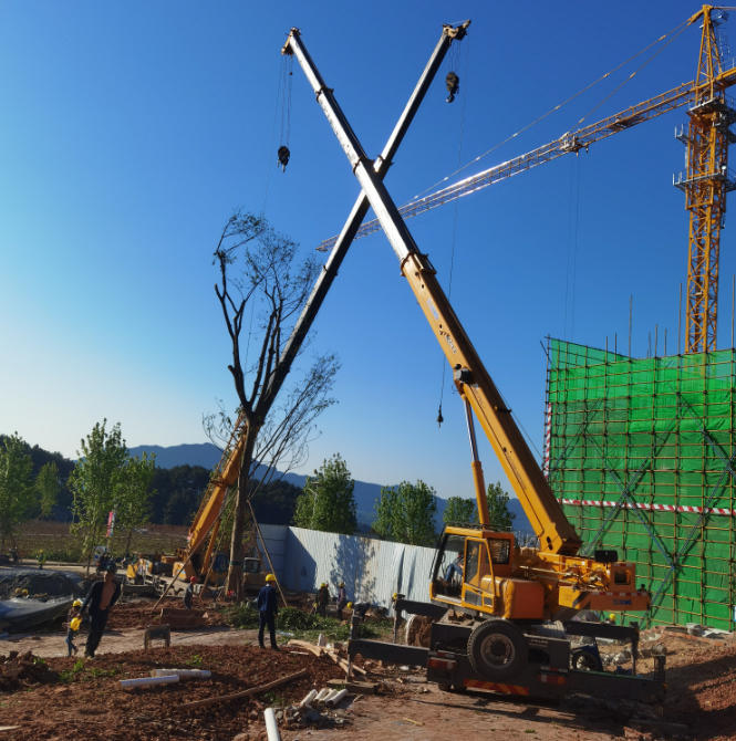 为什么在启动或施工期间人不能站在吊车身上？-- 重庆市綦江区雷盛建筑设备租赁站