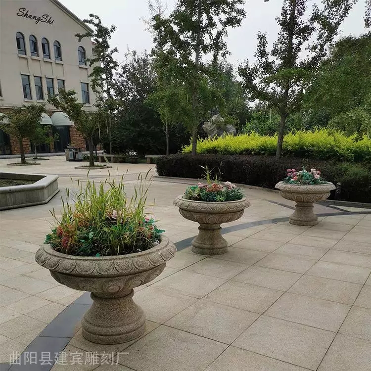 5_949_1976704_750_750.jpg.webp