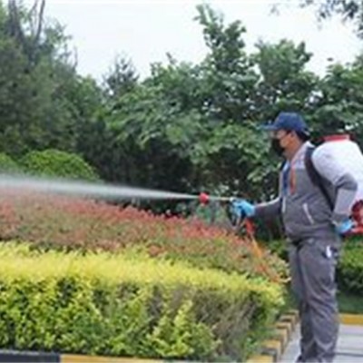 常州灭蟑螂有妙招，轻松告别蟑螂噩梦