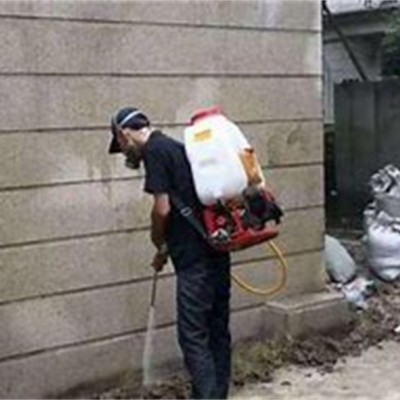 常州灭蟑螂服务，还您清爽无虫空间