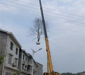 吊车作业后需清理哪些部位的杂物以防部件卡滞？