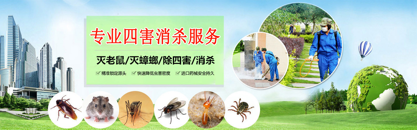 三亚崇光金稷环境科技有限公司