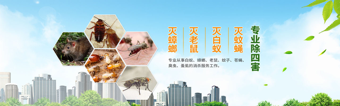 三亚崇光金稷环境科技有限公司