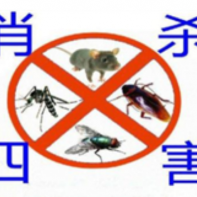 三亚除甲醛公司介绍家中木地板白蚁的