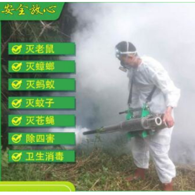 三亚白蚁防治的方法，让你远离白蚁困