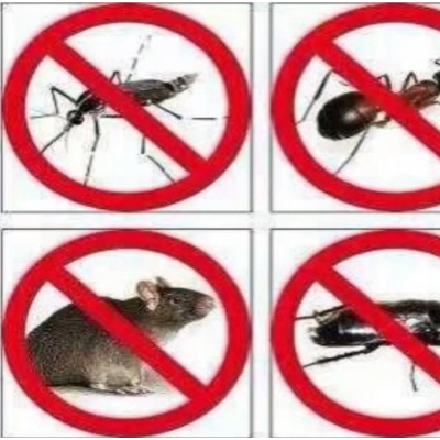 三亚灭四害公司消杀蟑螂可以用哪些方