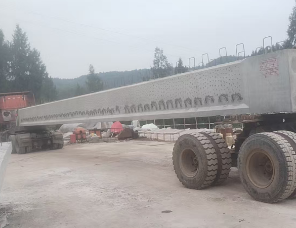 吊装大型注塑机怎样保证安装精度和稳定性？-- 达州市一龙装卸服务有限公司