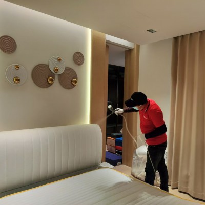 日照除甲醛公司讲解如何去除甲醛更安