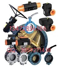 德国依博罗EBRO支耳式涡轮蝶阀Z014-A价格优惠.