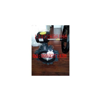 德国依博罗EBRO支耳式涡轮蝶阀Z014-A