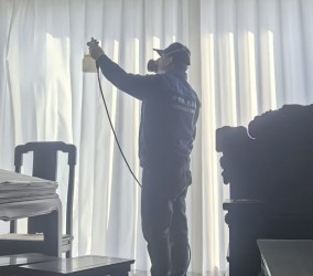 室内除甲醛除了通风，还有什么好办法？