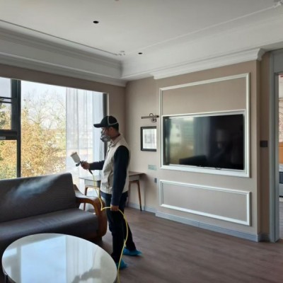 新房适合去除甲醛的方法有哪些？