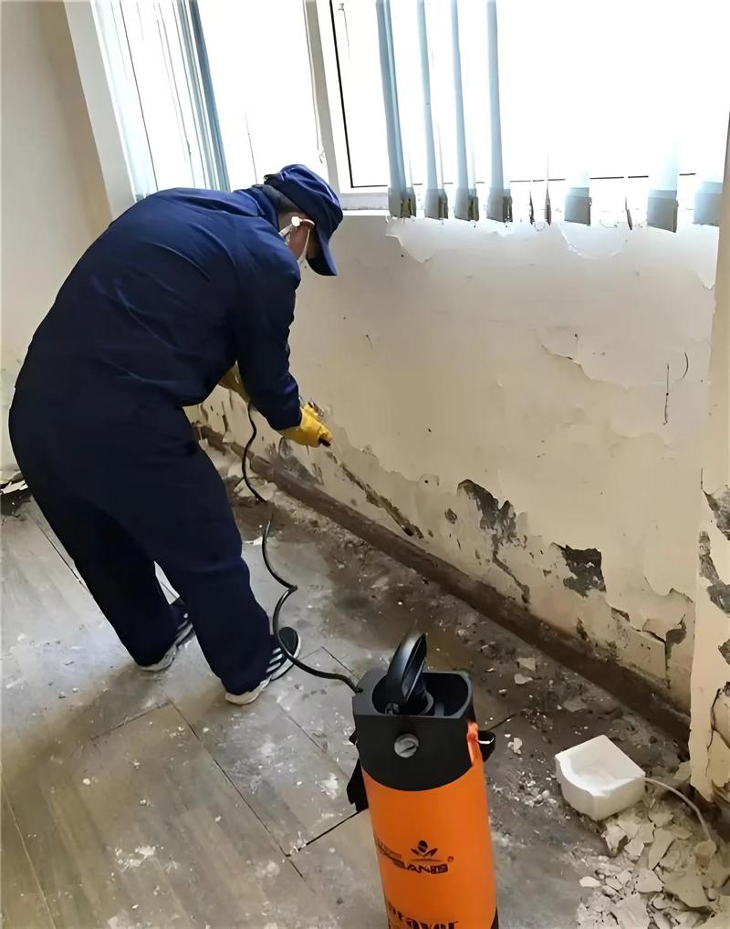 常州灭白蚁攻略：精准防治，守护家居安全