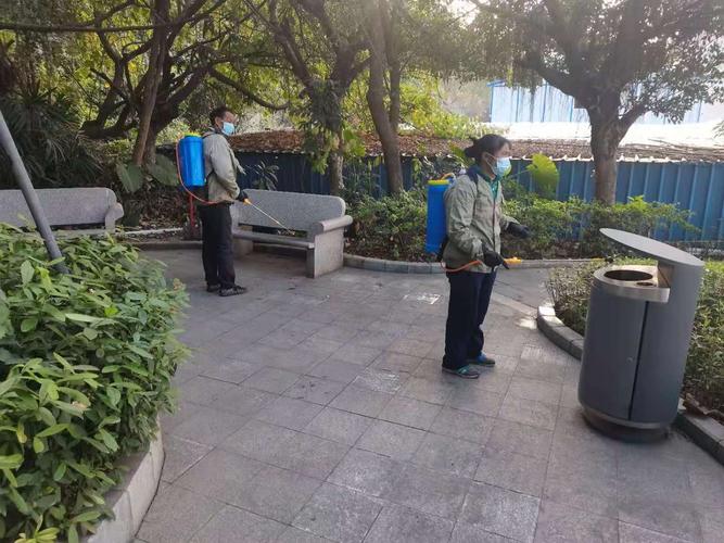 常州灭蟑螂秘籍：快速除害，生活更安心