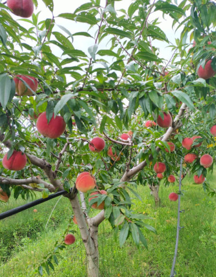 ScreenShot_2026-01-19_111003_145