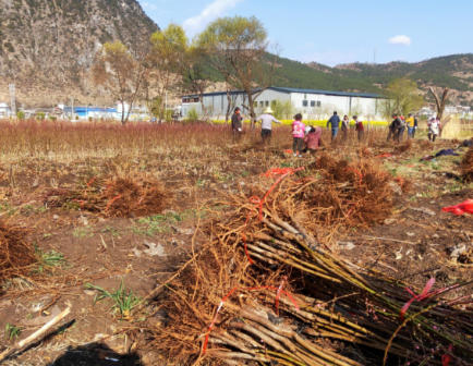 ScreenShot_2026-01-19_111219_392