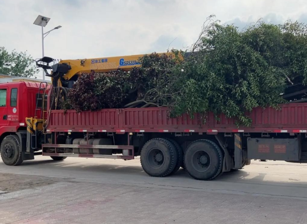 ScreenShot_2026-01-19_145908_485