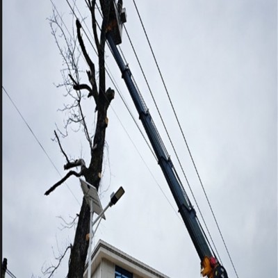 租赁合同中的“不可抗力”条款，真的