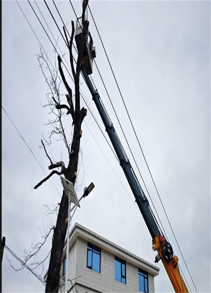 微信截图_20250103144953