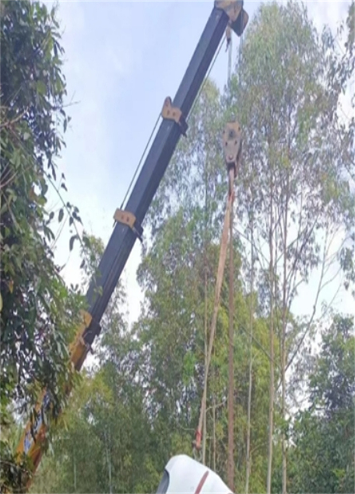 微信截图_20250103150626