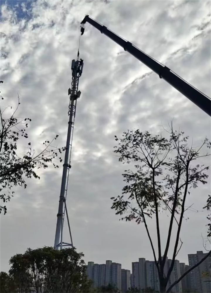 微信截图_20250210182442