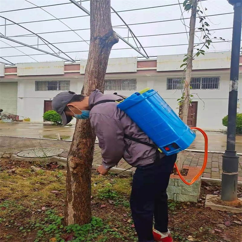常州专业灭鼠，守护家居洁净无扰