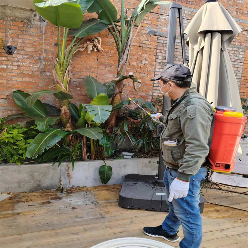 常州灭白蚁行动，为建筑健康护航