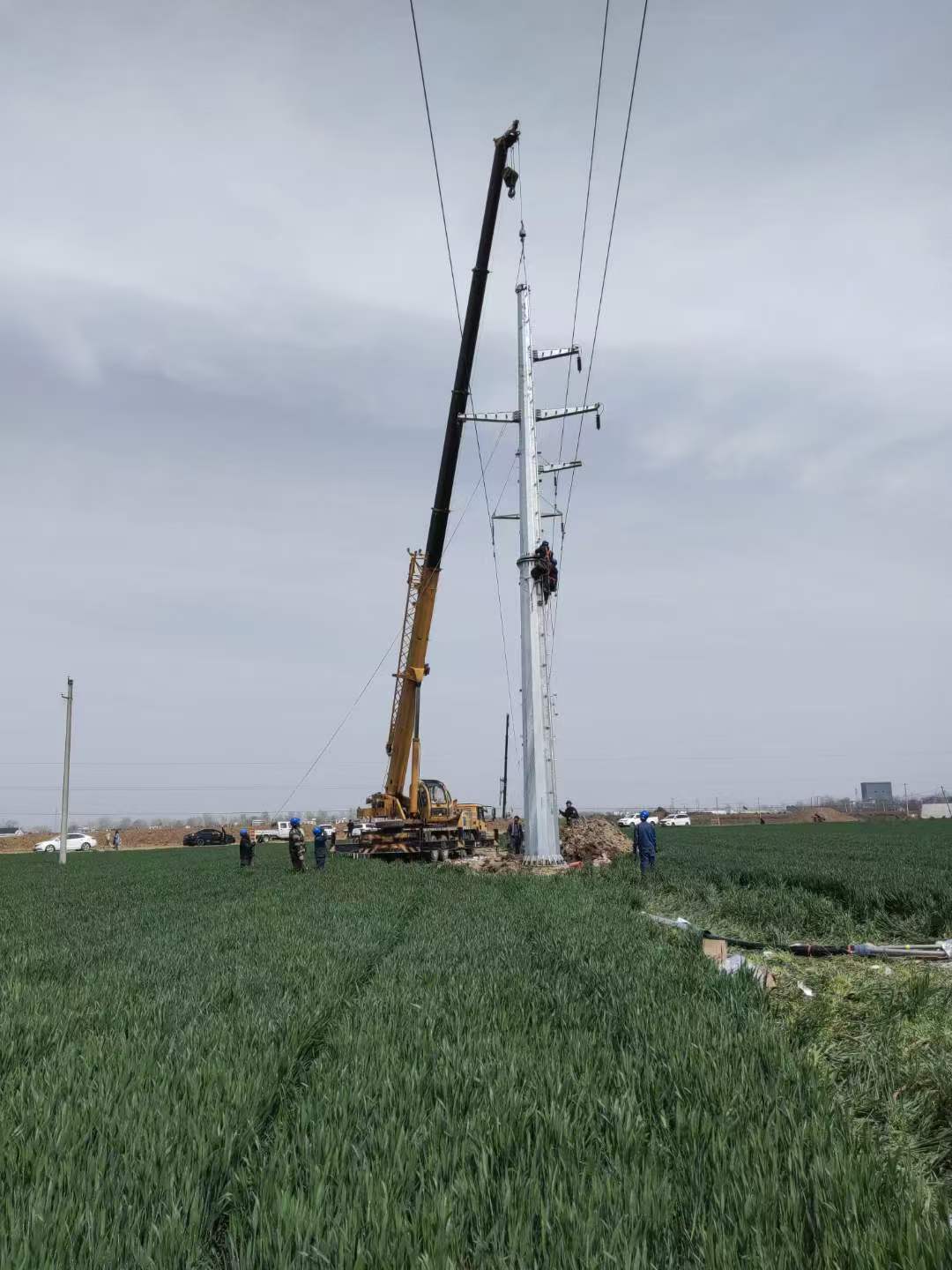 微信图片_20250609173608