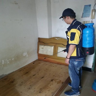 海口除虫美灭鼠公司教你几招解决家庭